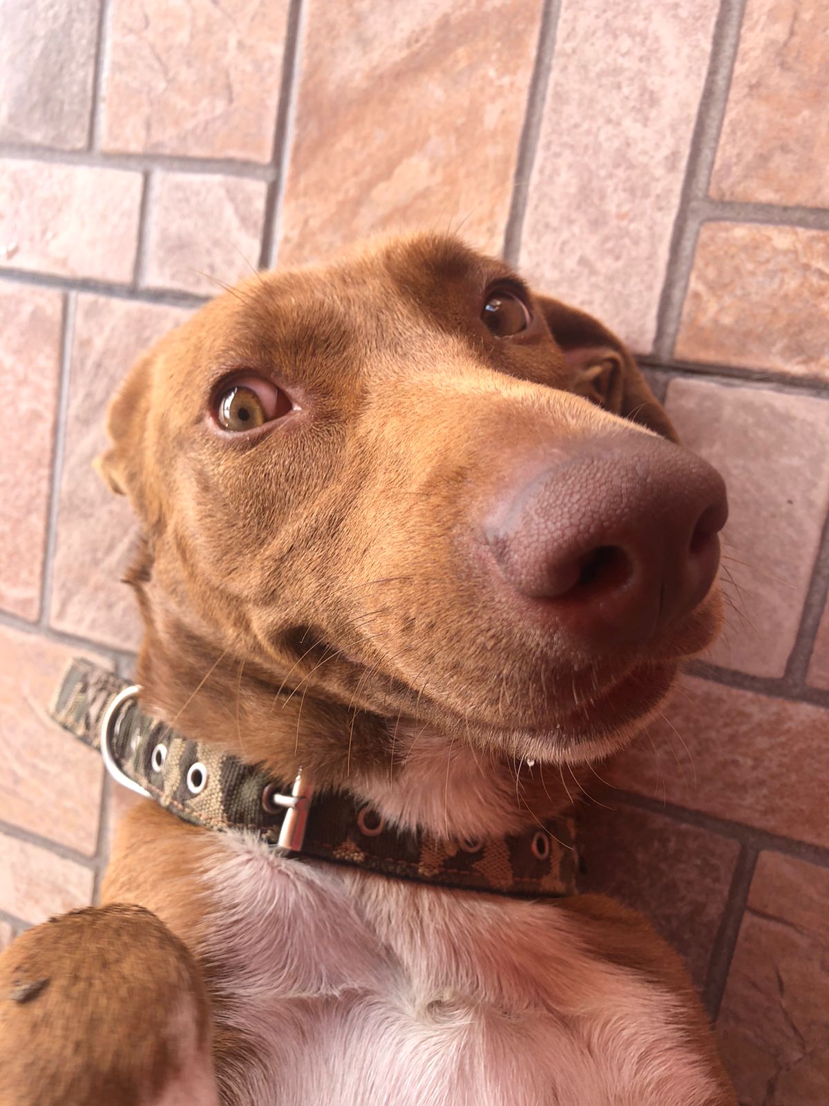 Zoe hermosa