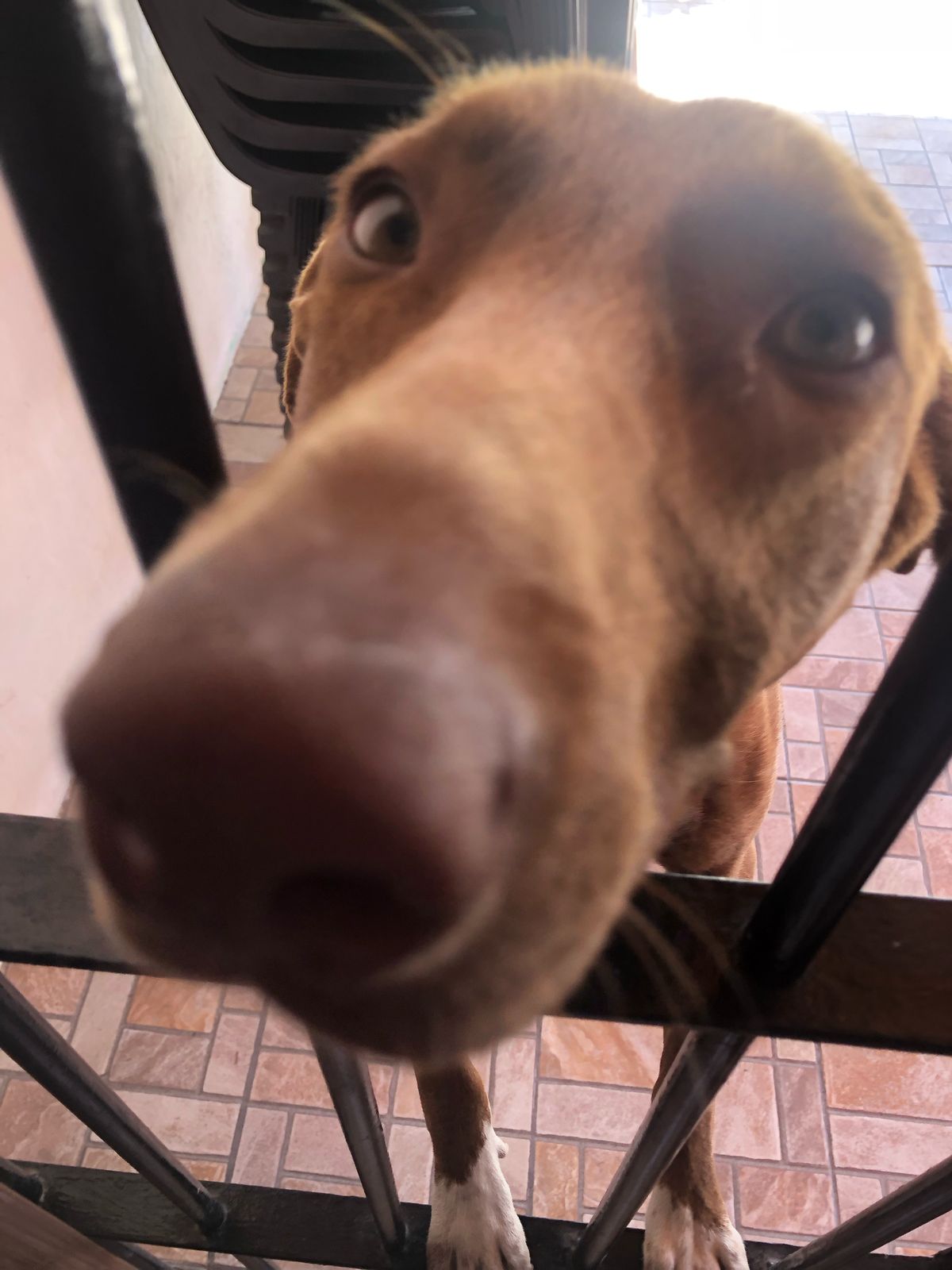 soy muy bella