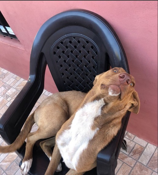 soy muy bella