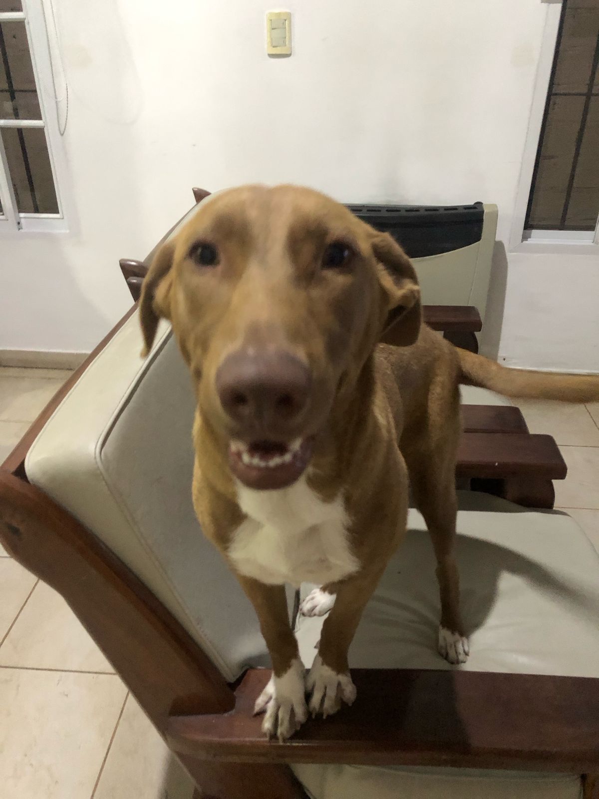 soy muy bella
