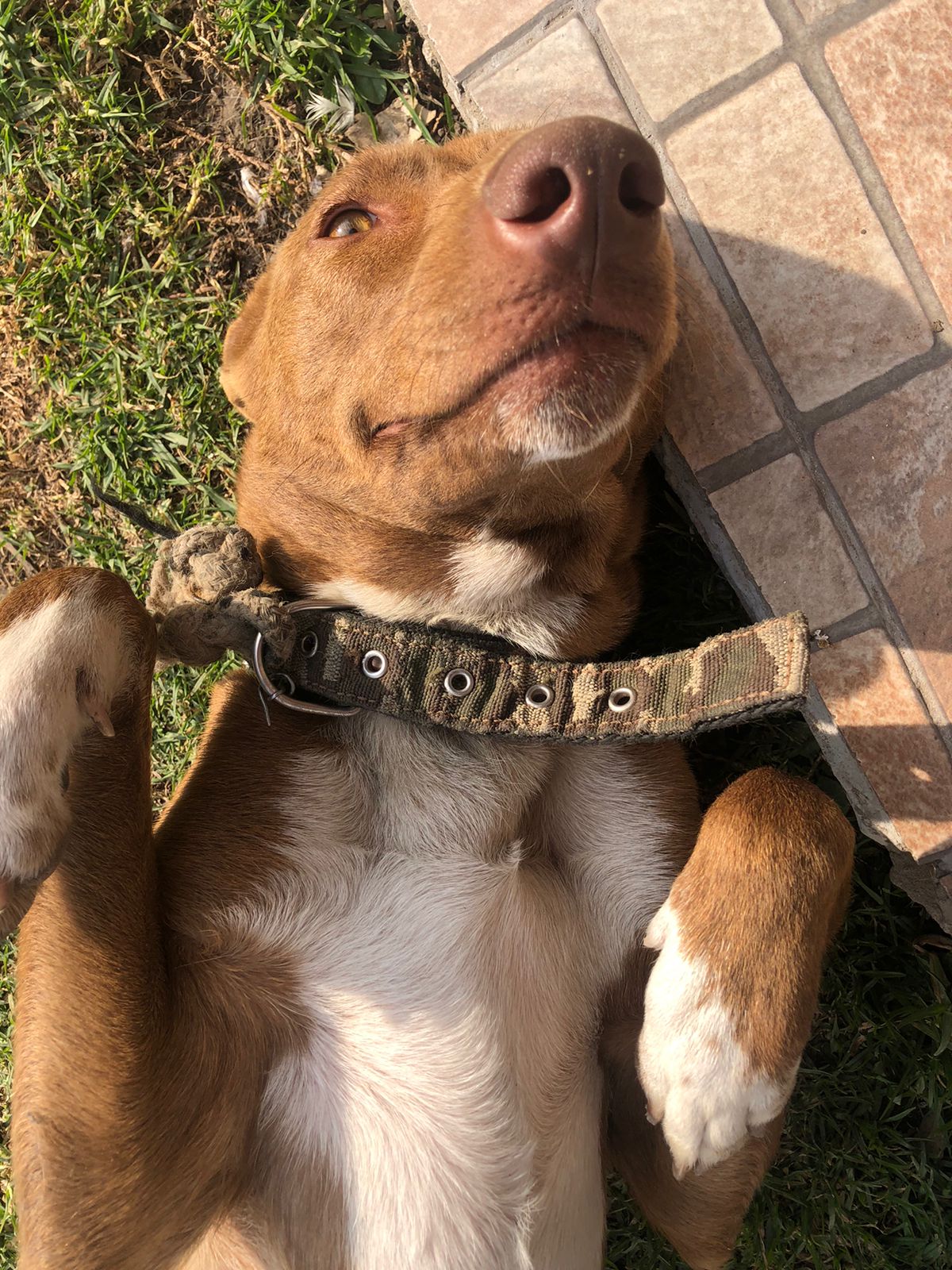 soy muy bella