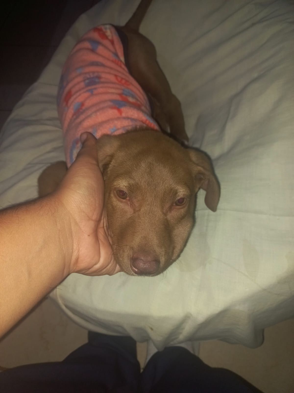 soy muy bella