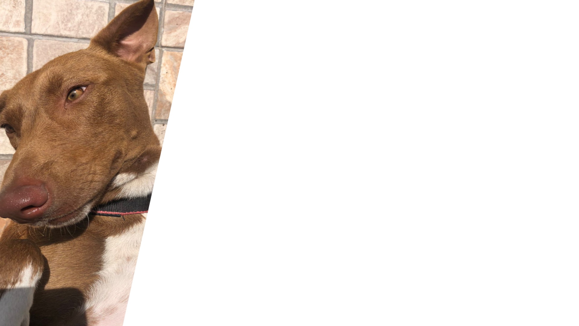 Zoe 1