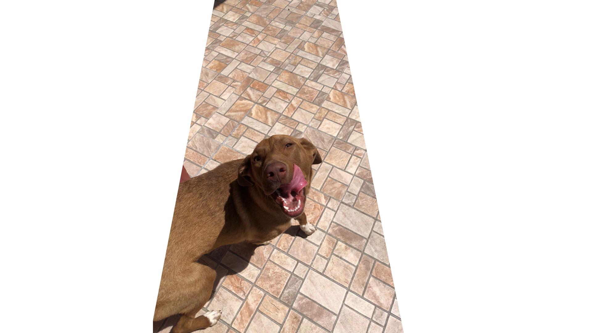 Zoe 2